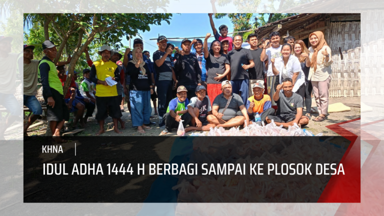 pphn-12